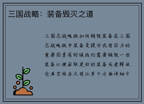 三国战略：装备毁灭之道